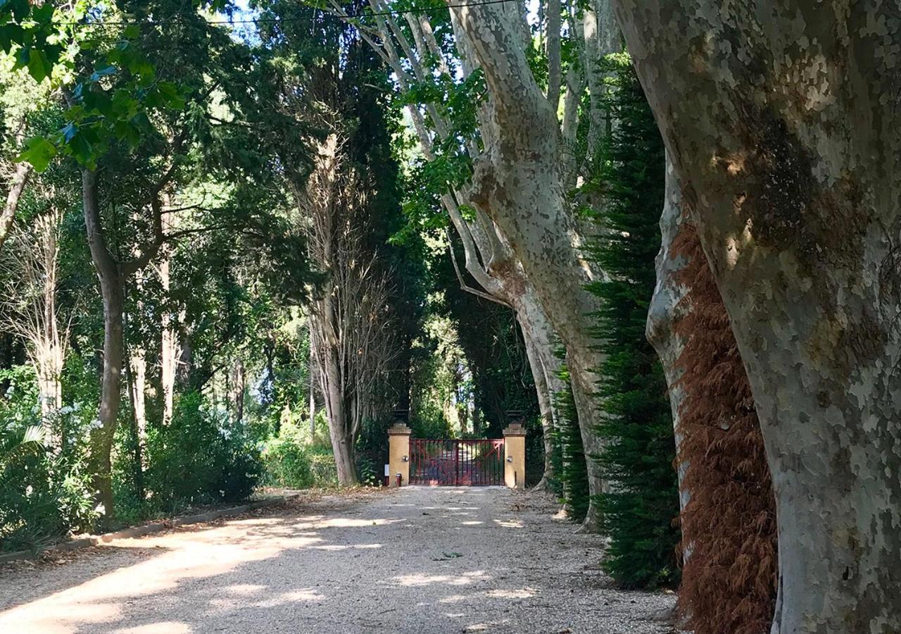 Can Codol De Fluvia - Casita Torroella de Fluviá Zewnętrze zdjęcie